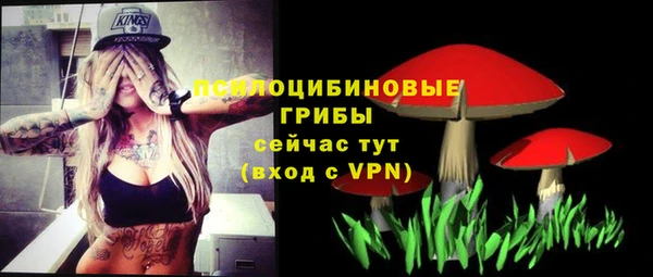 мяу мяу мука Ростов