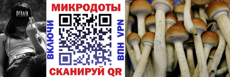Псилоцибиновые грибы Magic Shrooms Семикаракорск