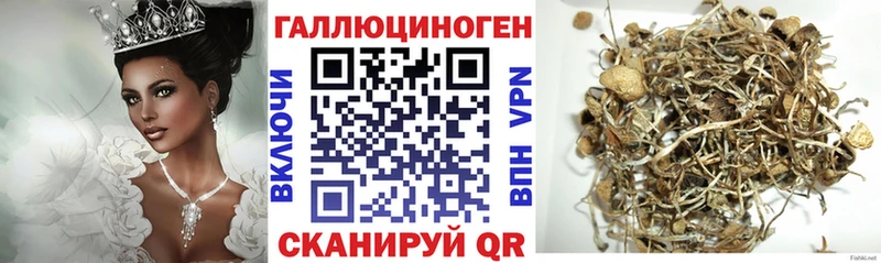 продажа наркотиков Семикаракорск Галлюциногенные грибы Psilocybine cubensis